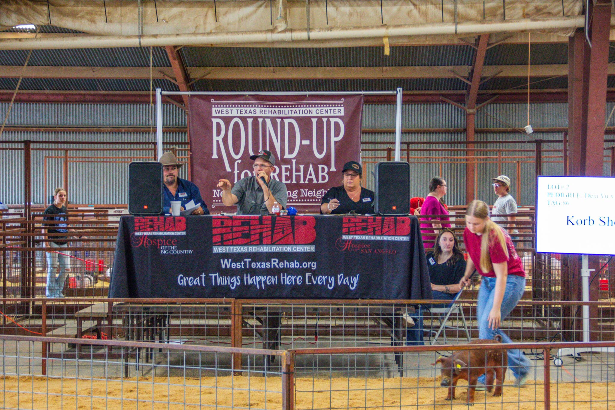 Livestock being auctioned at the Round Up for Rehab event to support West Texas Rehab's mission.